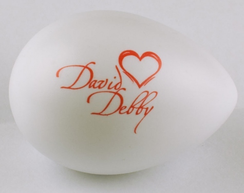 David-Loves-Debby