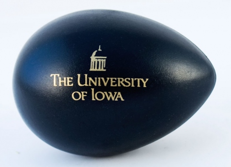 University-of-Iowa Black Egg Shakers