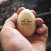 The Bhajans Hand Embossed Wooden Egg